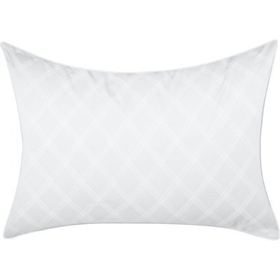 Shop AllerEase Bedding on DailyMail AllerEaseAllerEase® Cotton Body Pillow